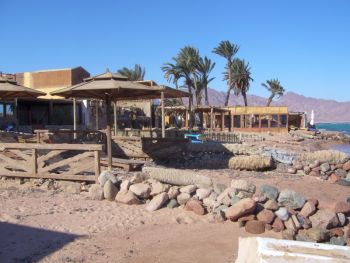 Dahab bary
